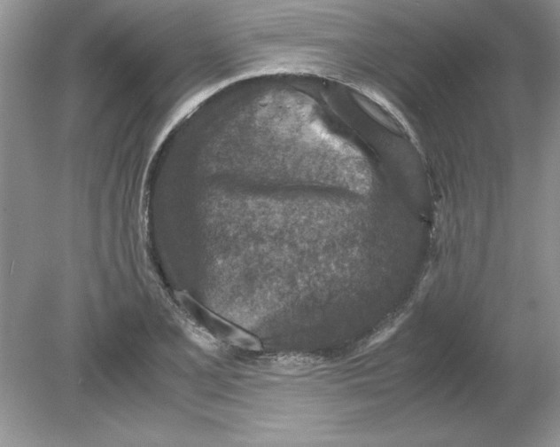 X0000078881077200612042018