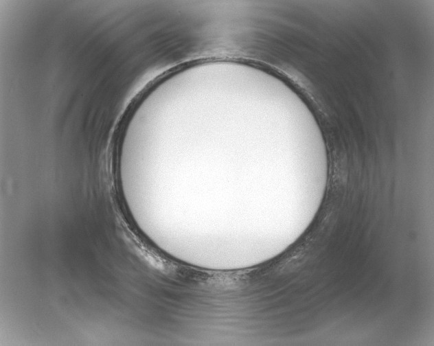 X0000078881078200612042018