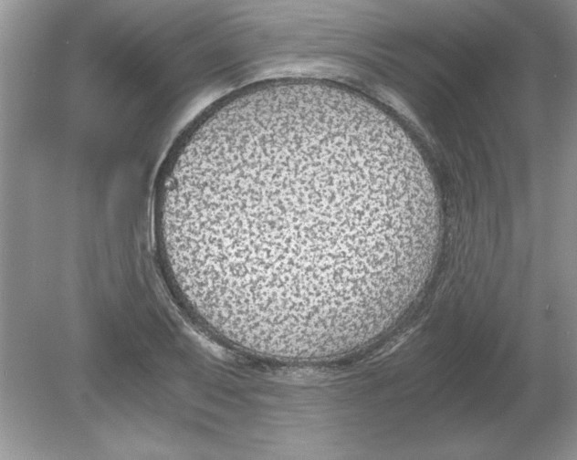 X0000078881079200612042018