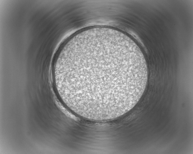 X0000078881080200612042018