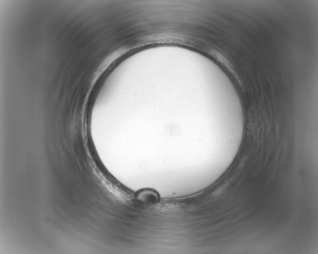 X0000078881082200612042018