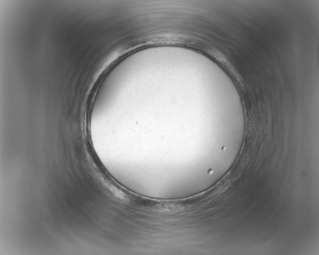 X0000078881083200612042018