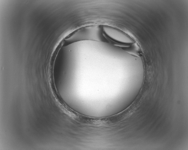 X0000078881085200612042018