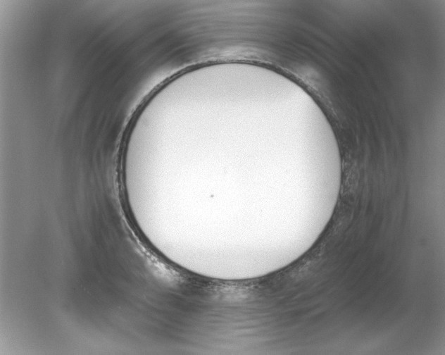 X0000078881086200612042018