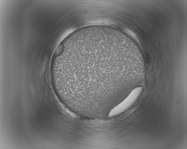 X0000078881087200612042018