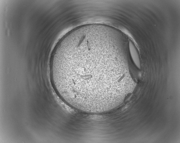 X0000078881088200612042018