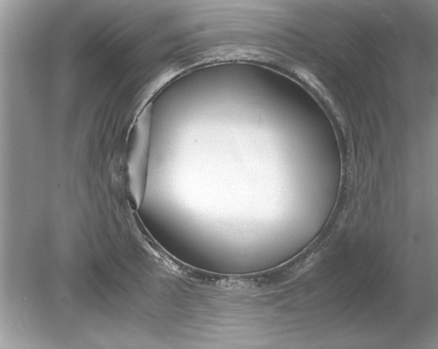 X0000078881089200612042018