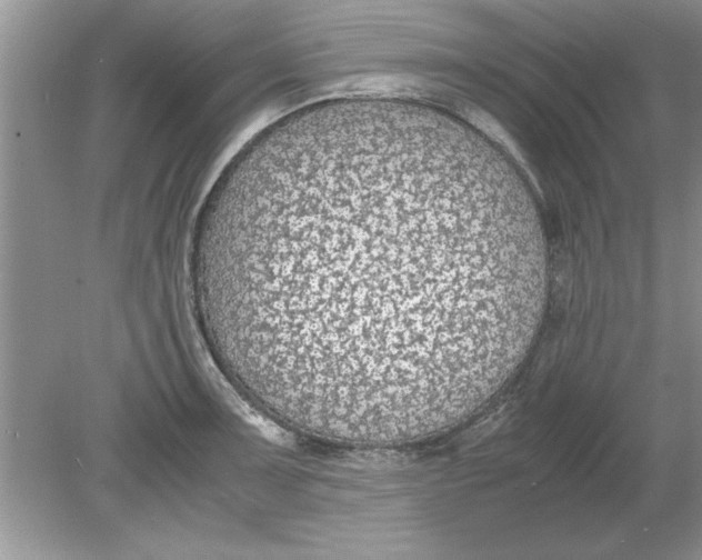 X0000078881091200612042018