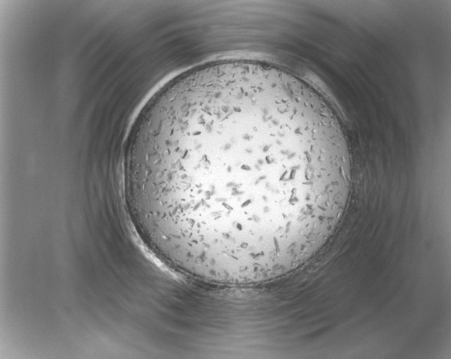 X0000078881092200612042018