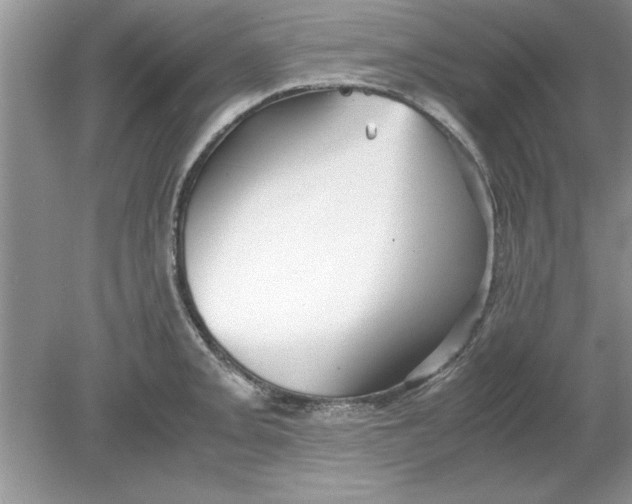 X0000078881093200612042018