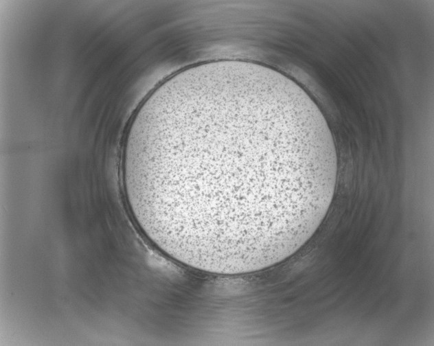 X0000078881094200612042018