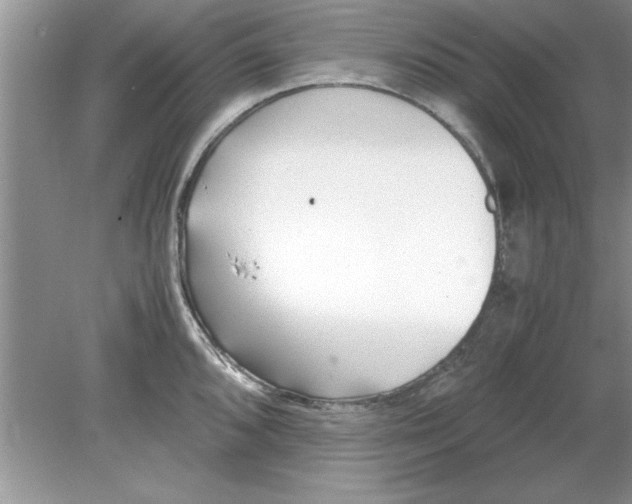 X0000078881096200612042018