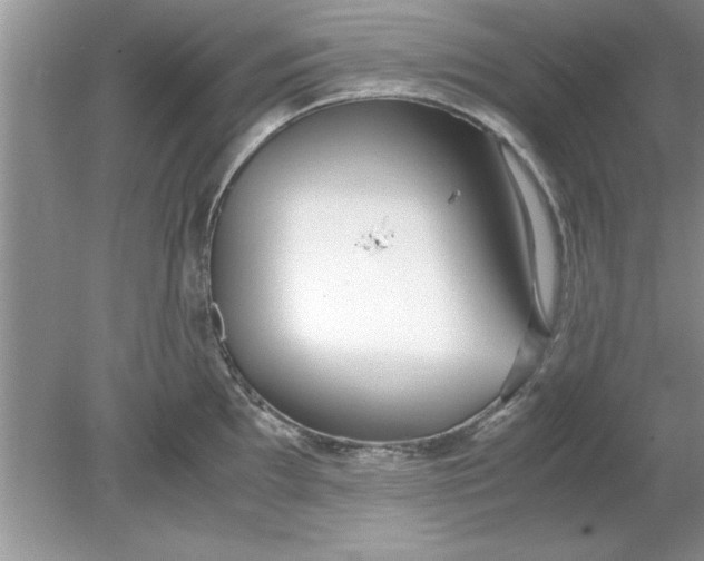 X0000078881097200612042018