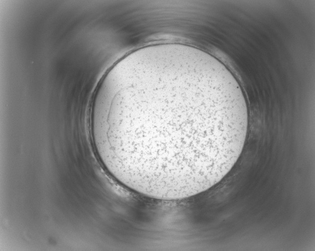 X0000078881098200612042018