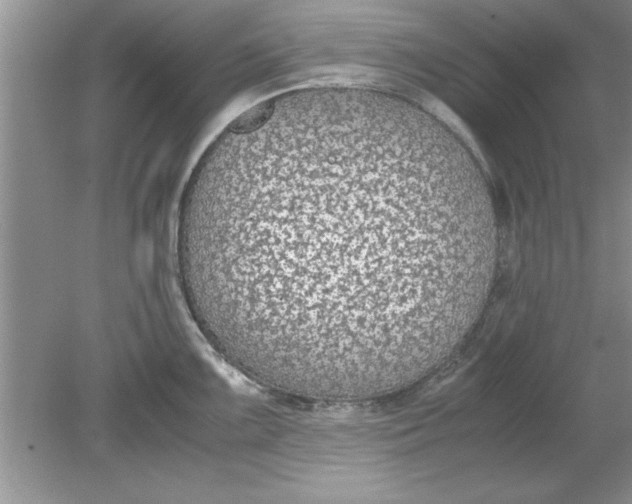 X0000078881099200612042018