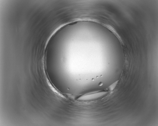 X0000078881100200612042018