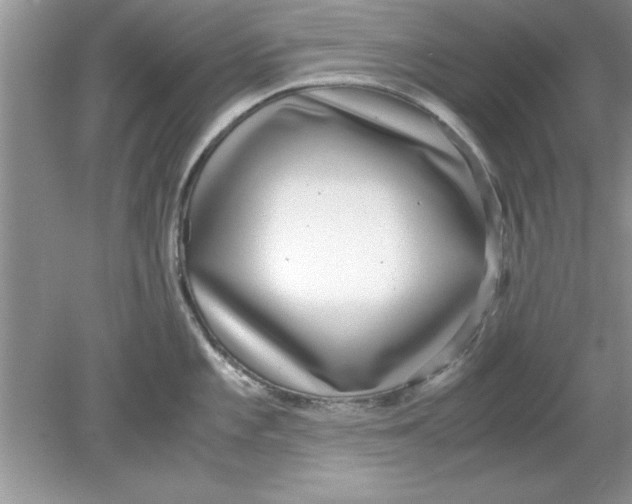 X0000078881101200612042018