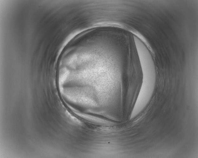 X0000078881102200612042018