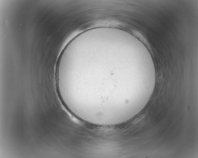 X0000078881103200612042017