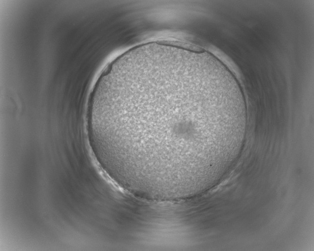 X0000078881104200612042017