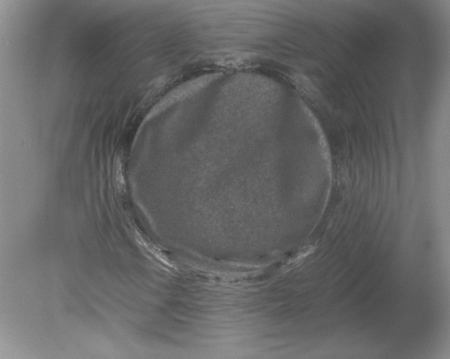 X0000078881106200612042017