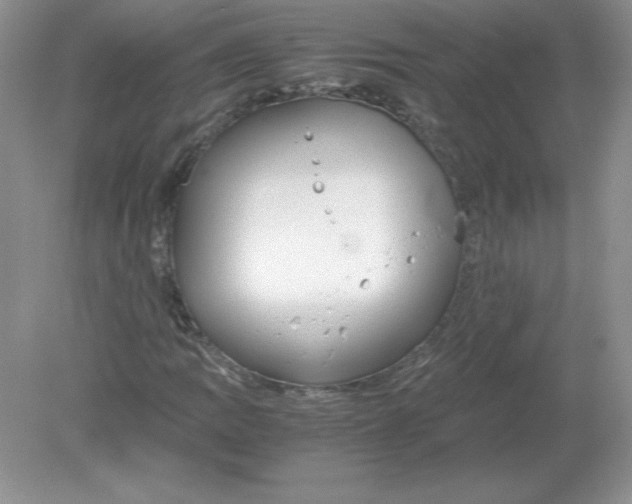 X0000078881109200612042017