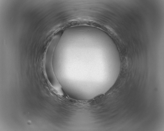 X0000078881110200612042017