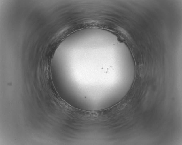 X0000078881111200612042017