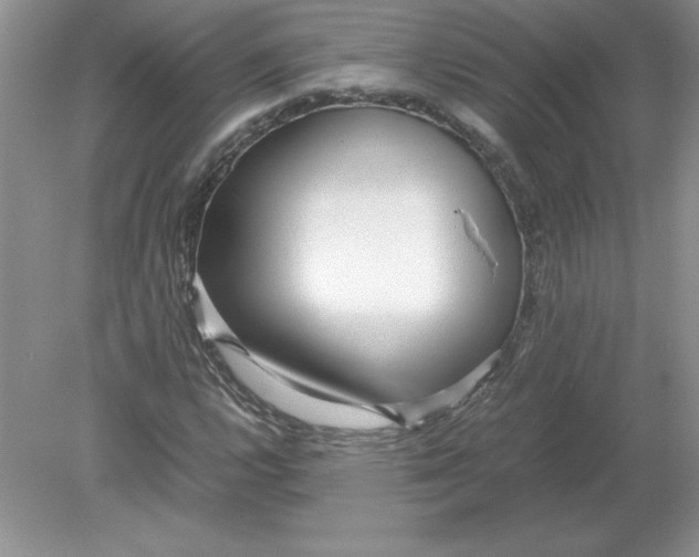 X0000078881112200612042017