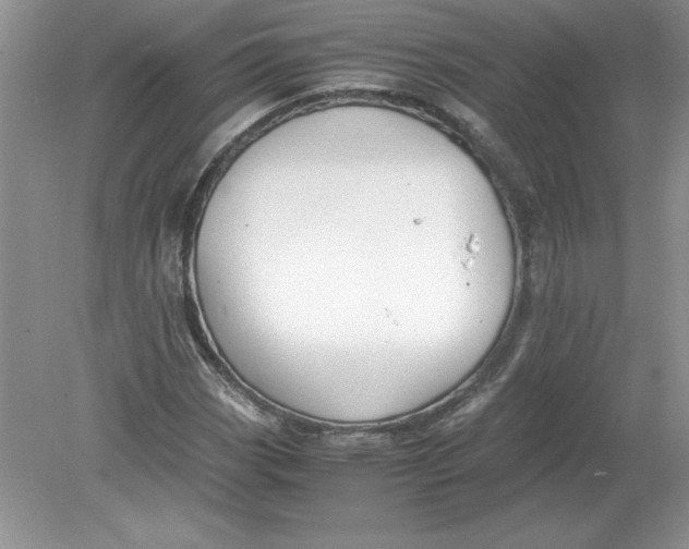 X0000078881113200612042017