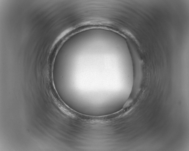 X0000078881114200612042017