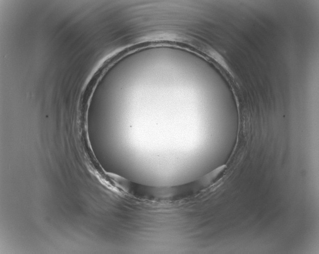 X0000078881116200612042017