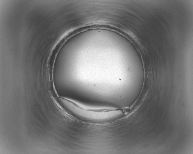 X0000078881118200612042017