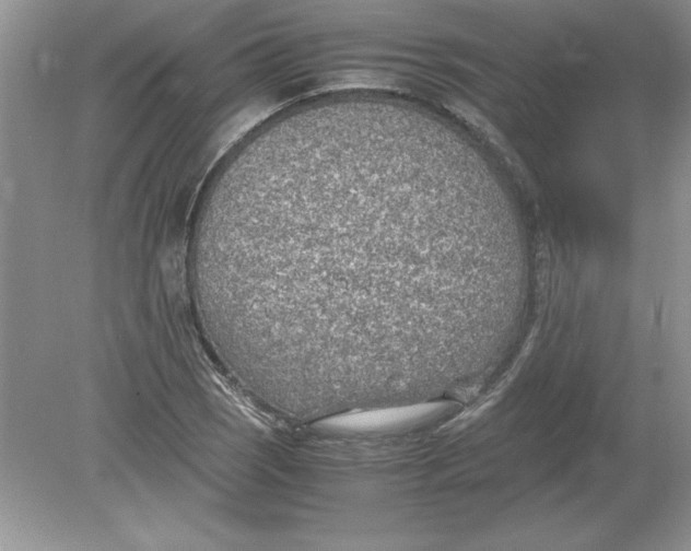 X0000078881121200612042017