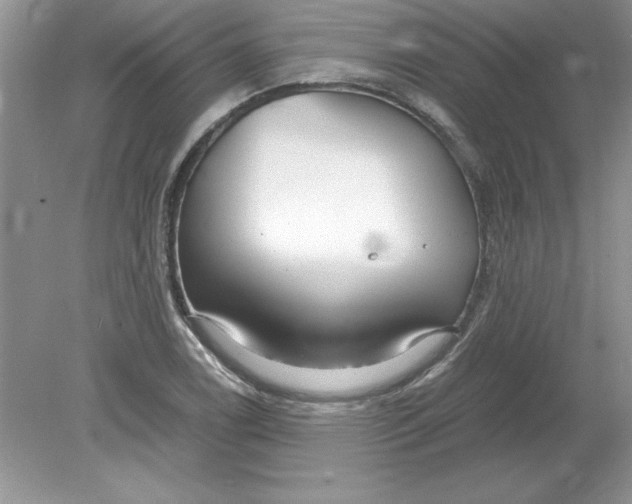 X0000078881122200612042017