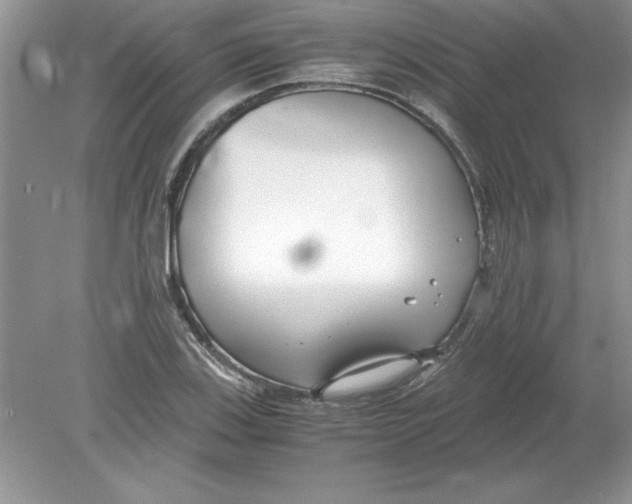 X0000078881123200612042017