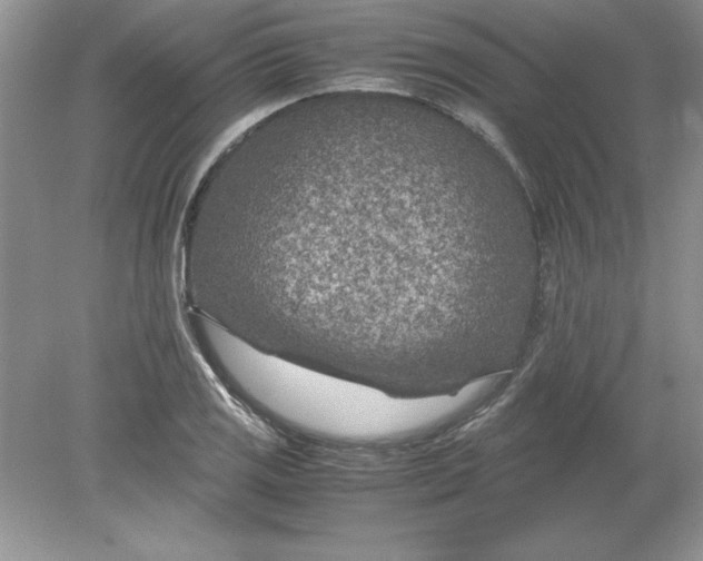 X0000078881125200612042017