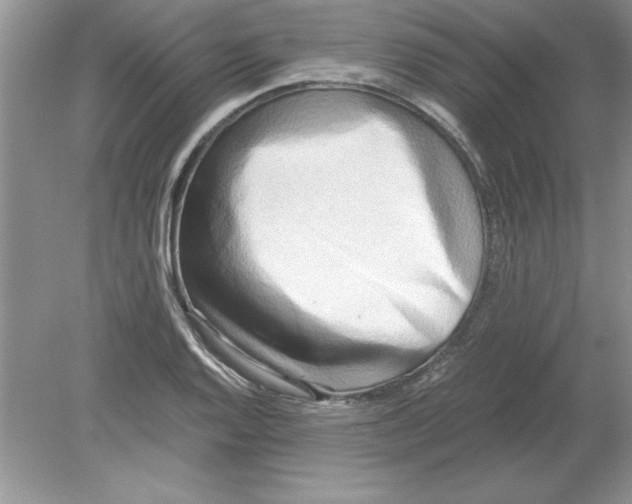 X0000078881128200612042017