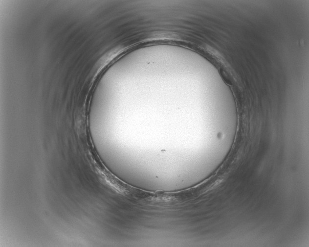 X0000078881129200612042017