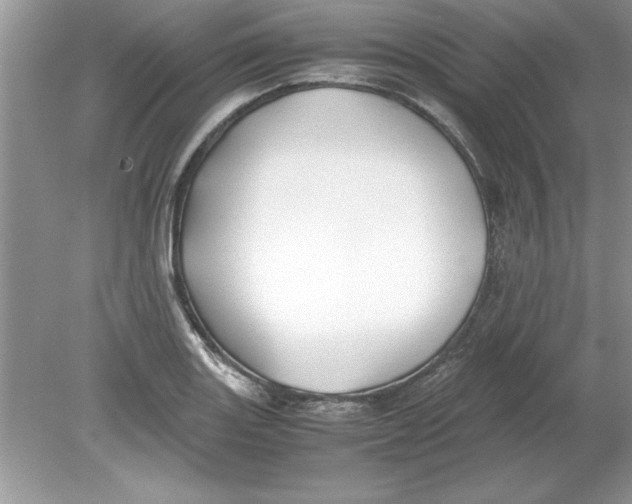 X0000078881131200612042017