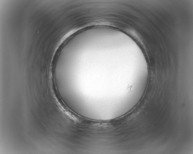 X0000078881133200612042017