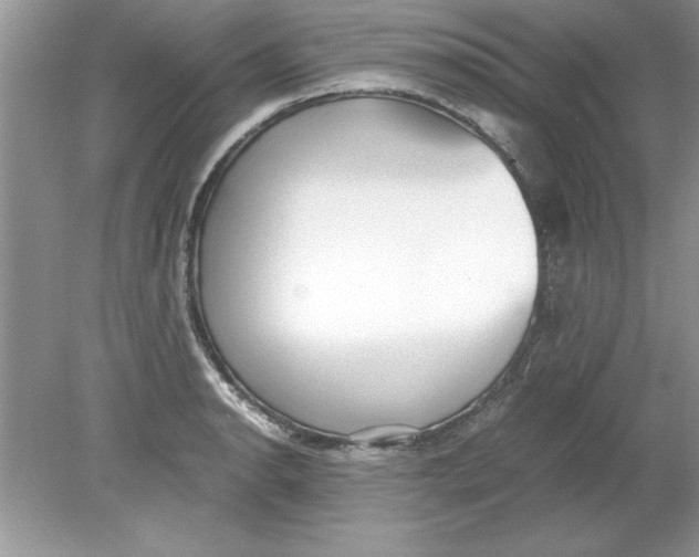 X0000078881134200612042017