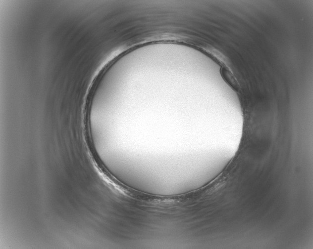 X0000078881135200612042017