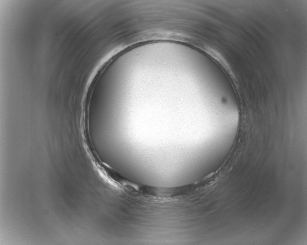 X0000078881136200612042017