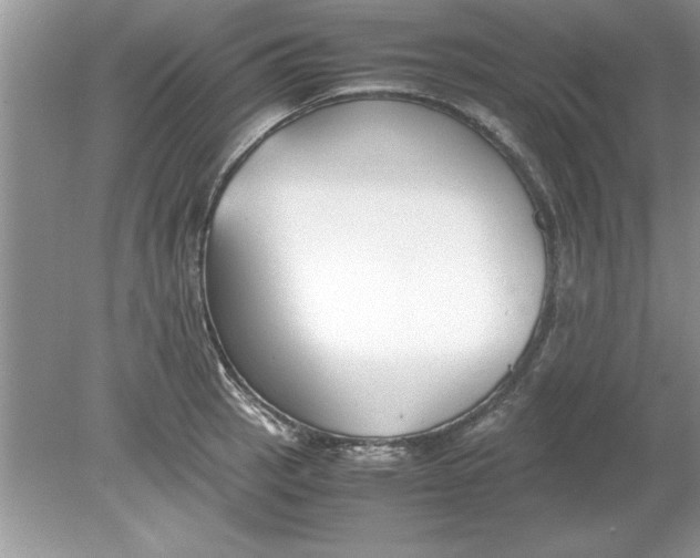 X0000078881137200612042017