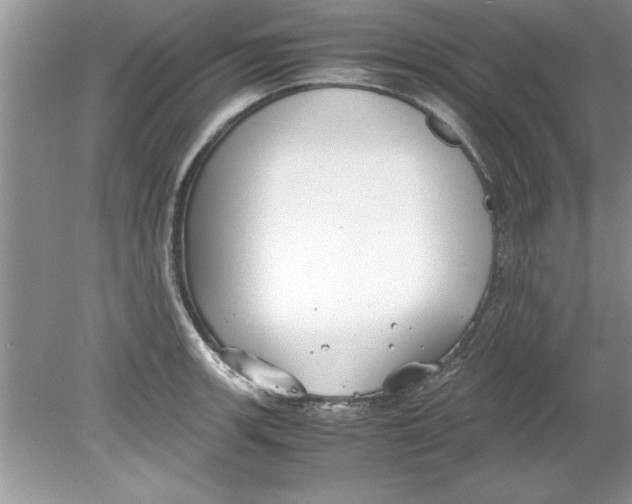 X0000078881139200612042017