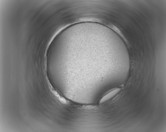 X0000078881140200612042017