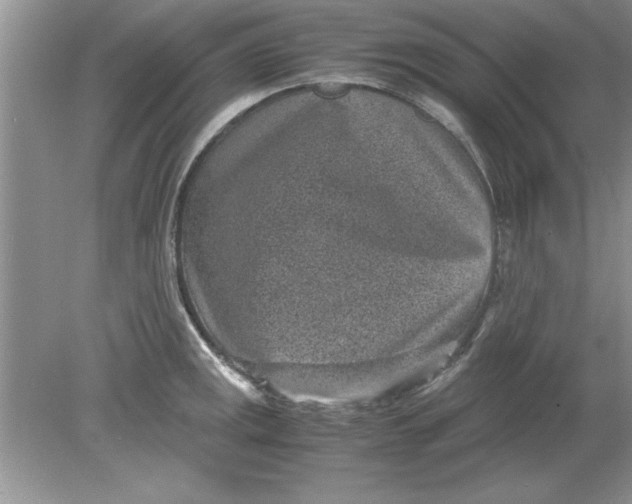 X0000078881141200612042017