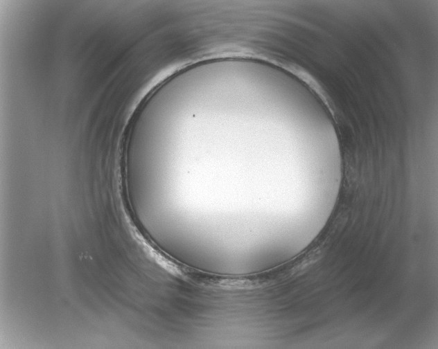 X0000078881142200612042017