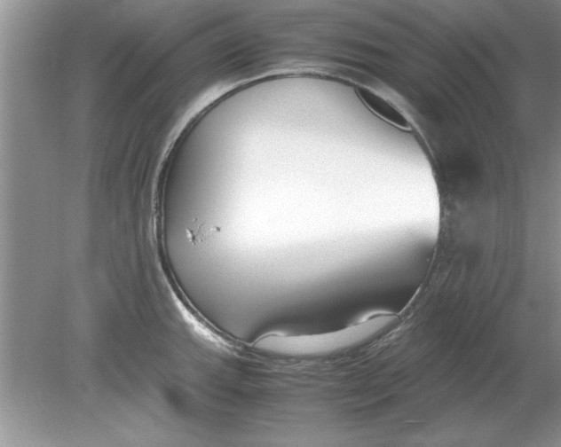 X0000078881143200612042017